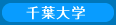 千葉大学