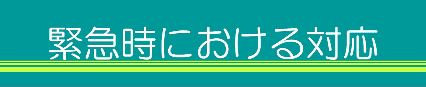 LinkIcon