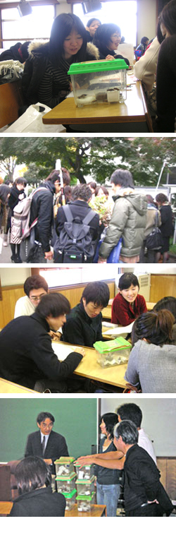 コオロギから広がる科学の世界
