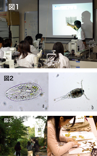 「教え方」を学ぶ基礎生物学実験の試行と実施