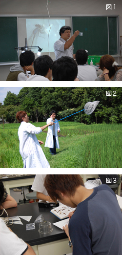 「大学構内の生物の観察と分類」の試行