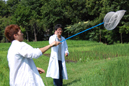 実験改革13写真：「大学構内の生物の観察と分類」の試行