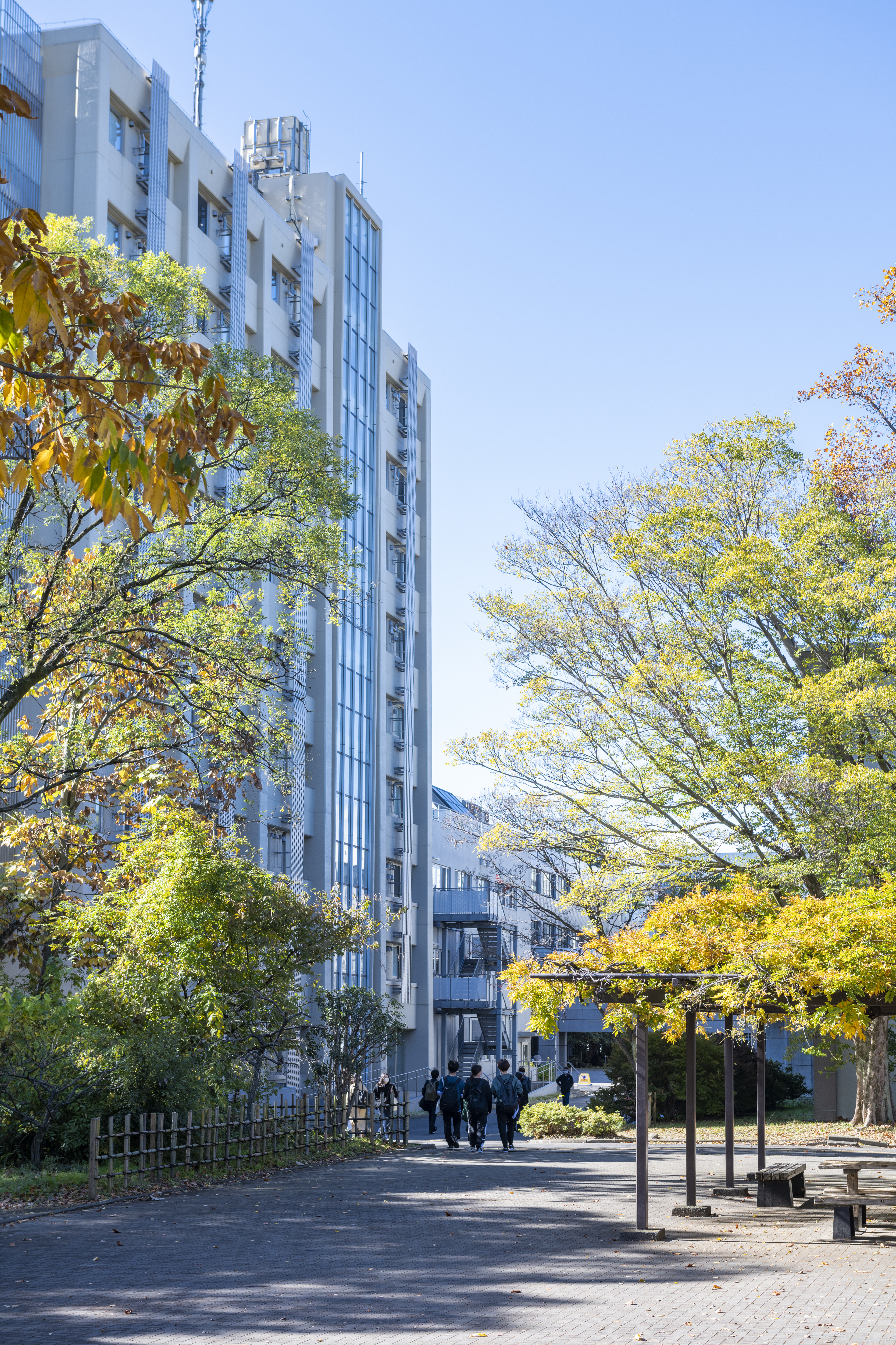 教員養成フラッグシップ大学