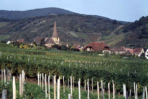 AUX CXi1984j
