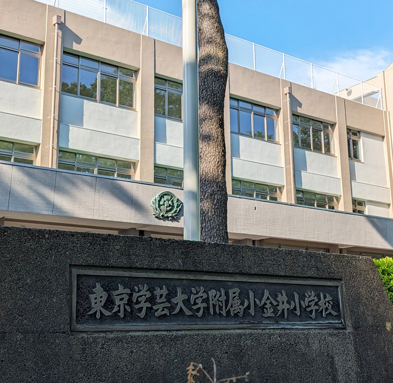 東京学芸大学附属大泉小学校・東京学芸大学附属小金井小学校入試問題集 ２００９/伸芽会/伸芽会（大型本） 東京学芸大学附属小金井小学校