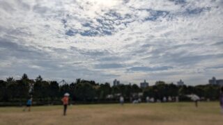 2年生秋の遠足（所沢航空記念公園）