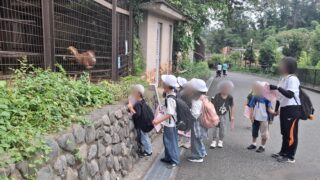 1年生秋の遠足（多摩動物公園）