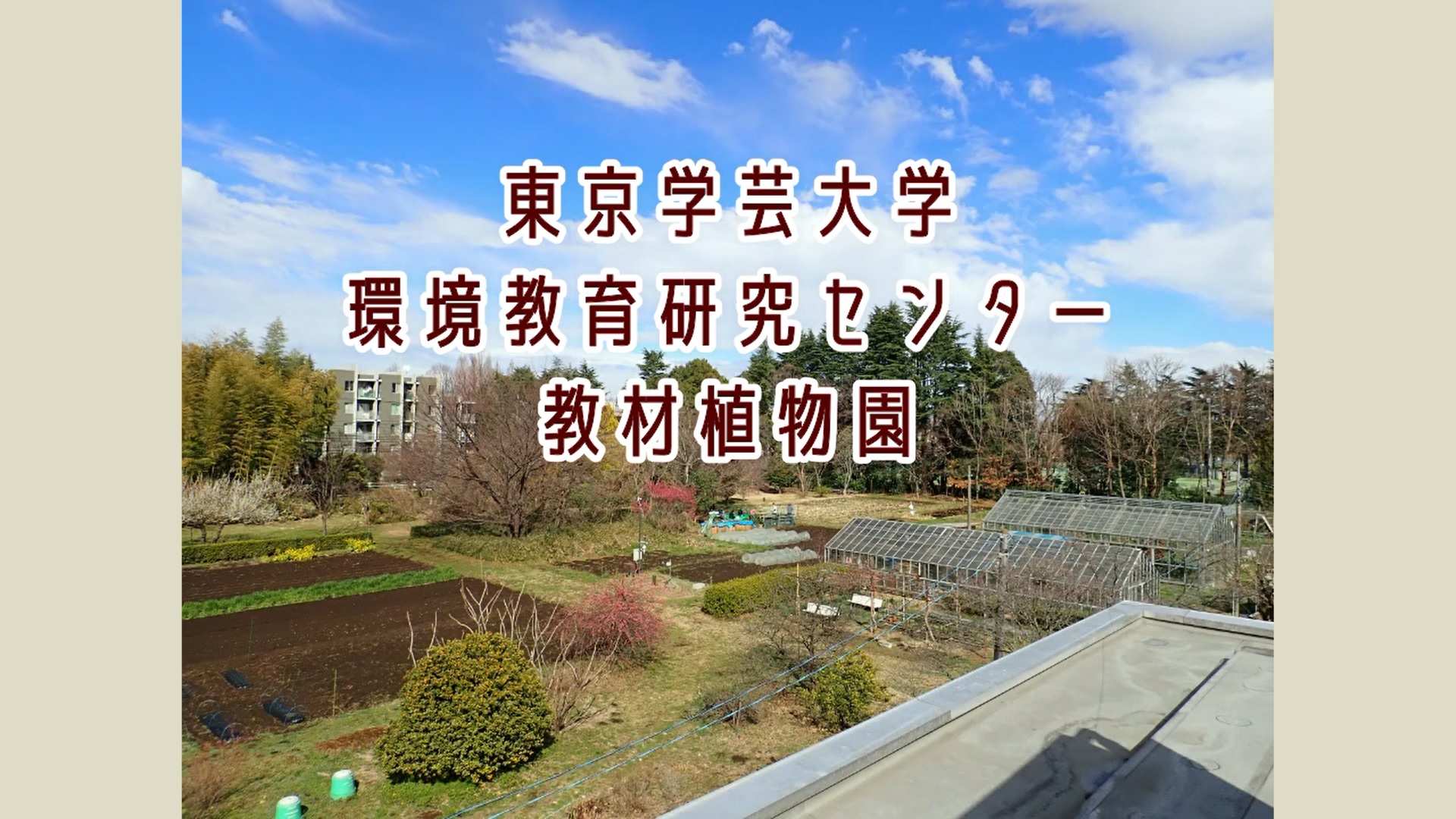 環境教育学研究34号