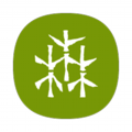 13_icon.png