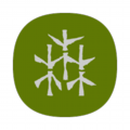 13_icon.png