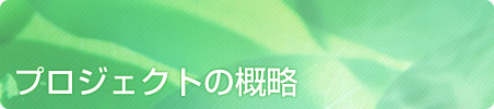 プロジェクトの概略