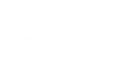 REPORT
