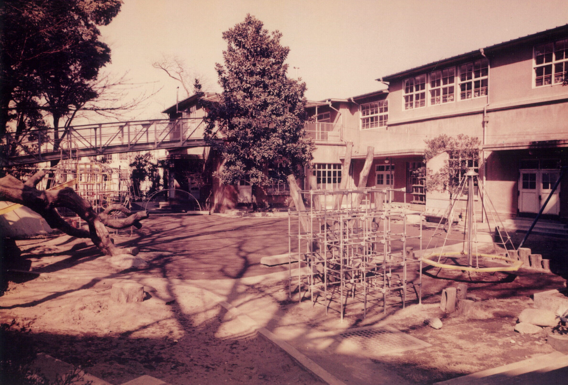 園紹介 - 東京学芸大学附属幼稚園竹早園舎